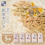 きらら397 令和5年産 令和5年産 旭川発北海道産きらら397