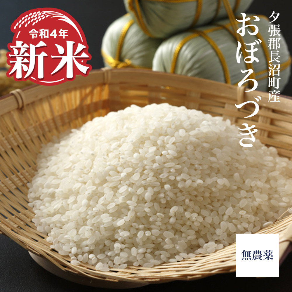 令和四年産新米 【無農薬】おぼろづき 10kg（夕張郡長沼町産） | 中野商店