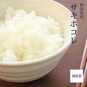 sakiho-5