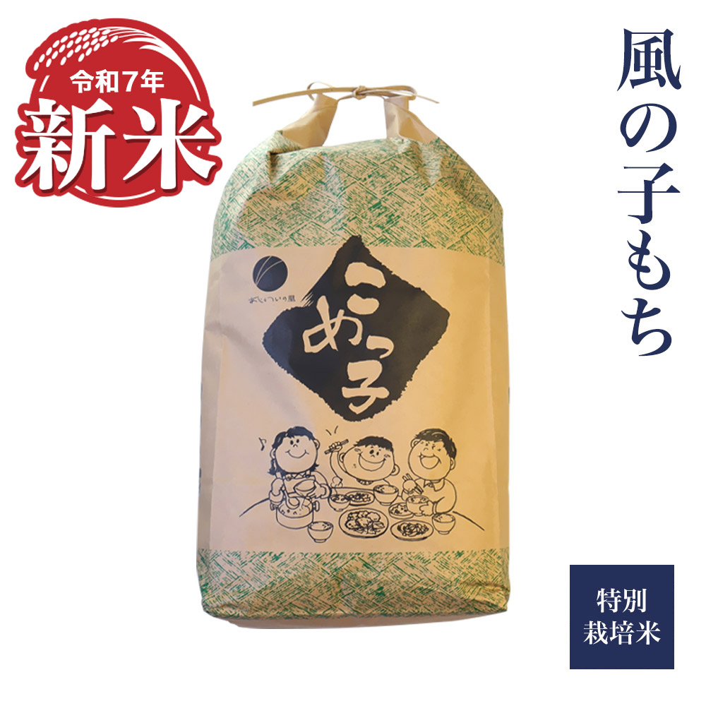 もちごめページ 新米 令和七年産 【減農薬】風の子もち もち米 5kg (上川郡愛別町産